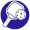pickleball racket